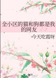 全小区的猫和狗都是我的网友156