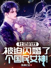 被迫闪婚了个国民女神txt