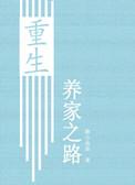 大宋兵器谱TXT