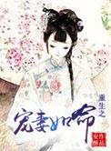 精英情结