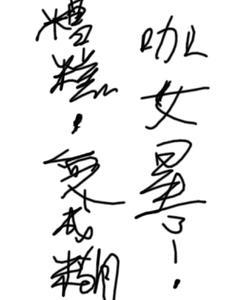 神灵狩猎计划为什么不写了