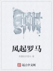 抗战之血肉丛林讲了什么故事